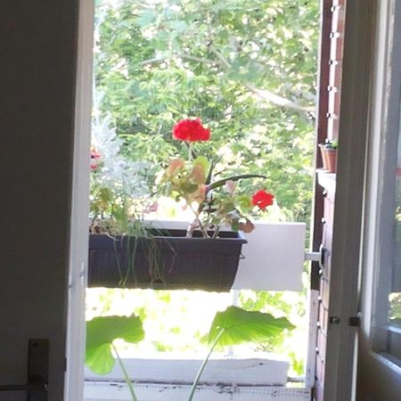 B&B Girasole Novi Sad Rum bild